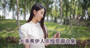 国产色伊人,探寻东方美学的独特魅力